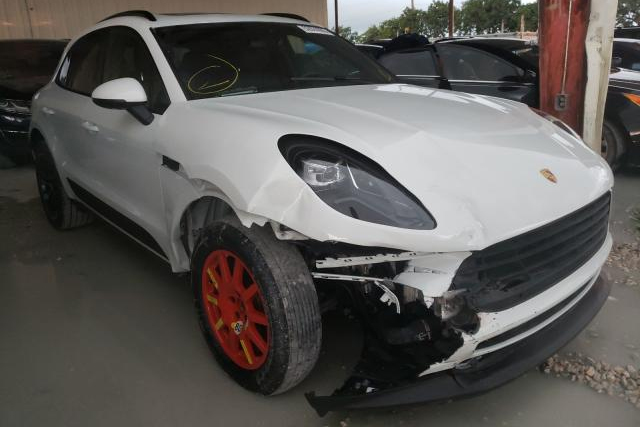 Exotics For Sale